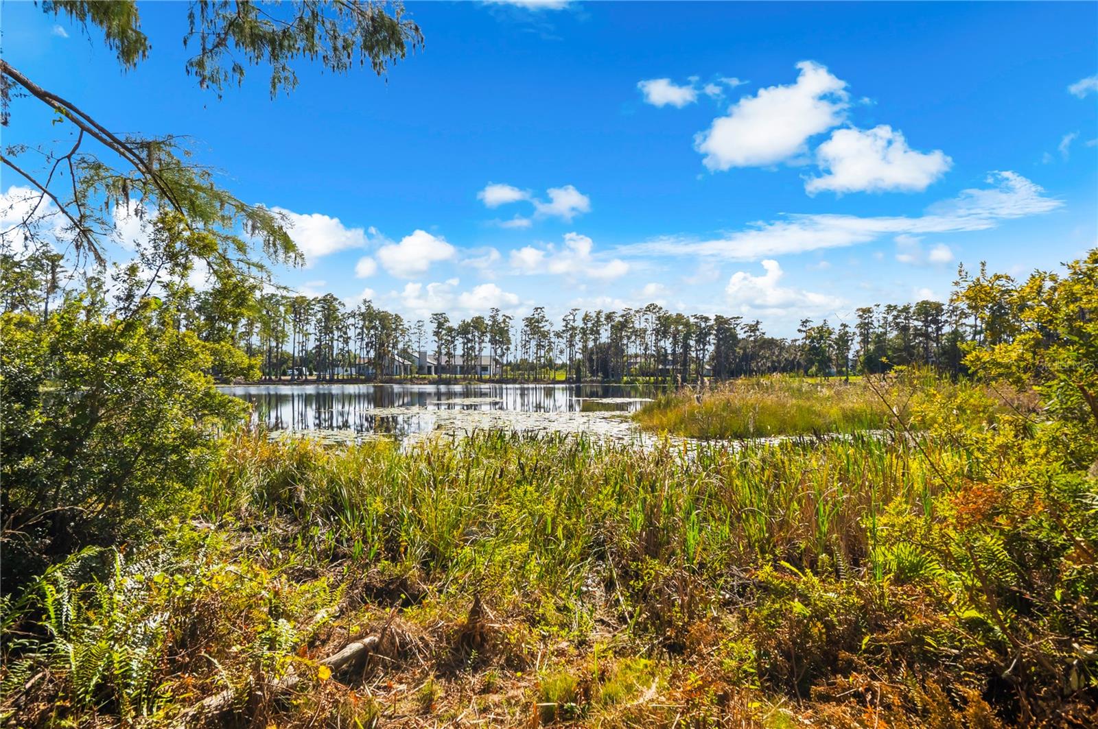 STEEPLECHASE - Residential