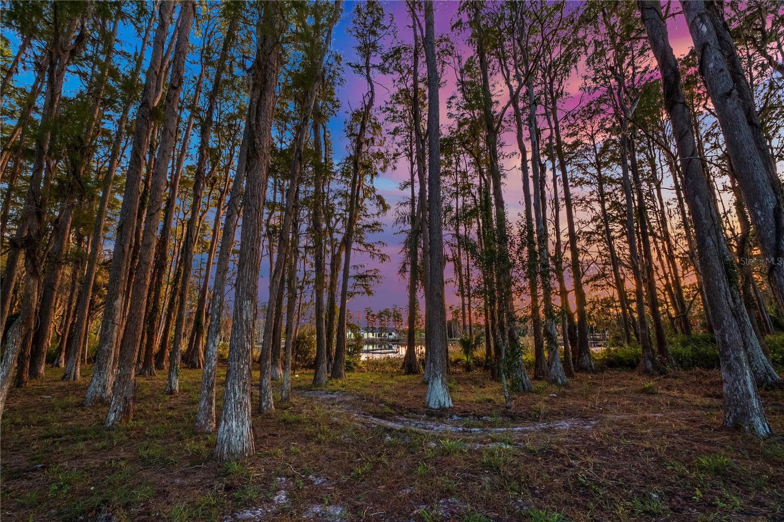 STEEPLECHASE - Residential