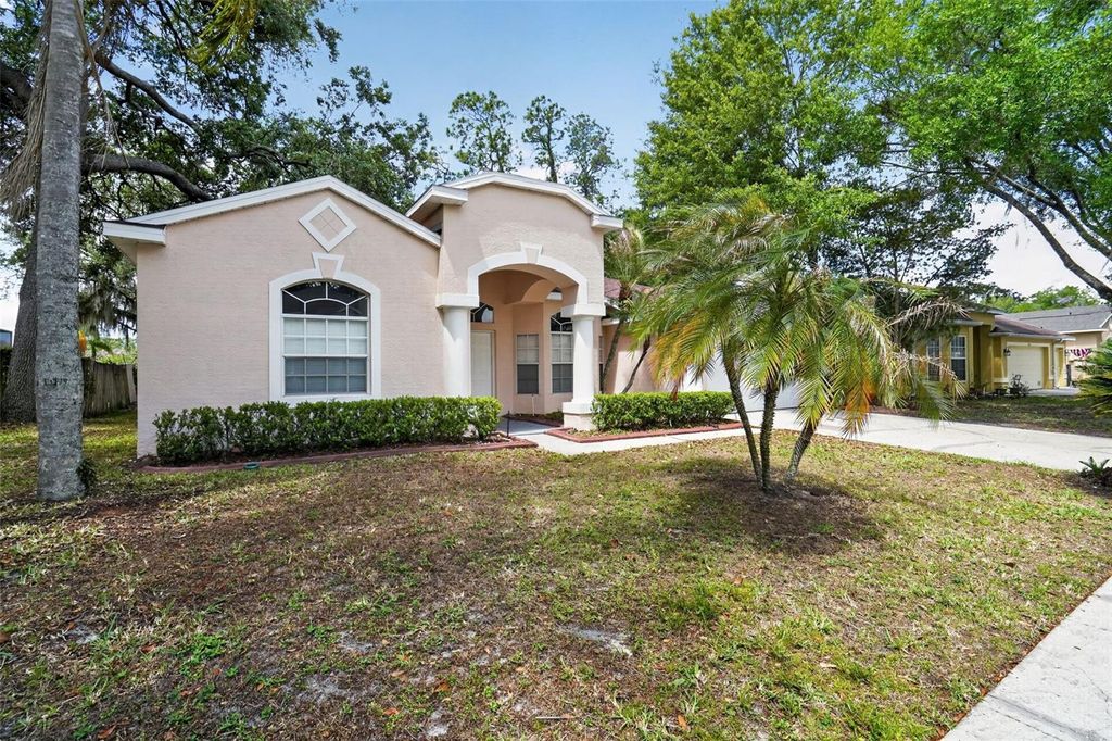 Photo of 3725 Hollow Wood Drive, Valrico, FL 33596 (MLS # TB8493518)