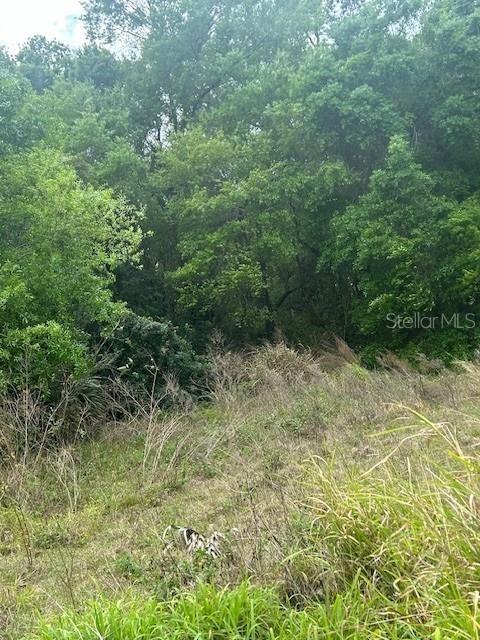 Motivated to sell, open to all offers and negotiations. Cleared lot over 7,000 square feet, ready to build within a neighborhood in the heart of Lake Wales. Close to businesses, gas stations, restaurants, desirable shopping facilities and all other amenities. Build your dream home in a convenient location and enjoy the future potential this investment will bring.