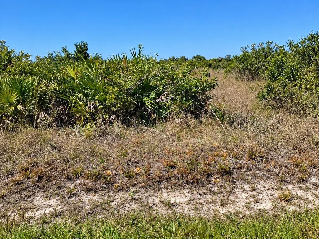 Photo of 14516 NW 280th Street, Okeechobee, FL 34972 (MLS # K4903783)