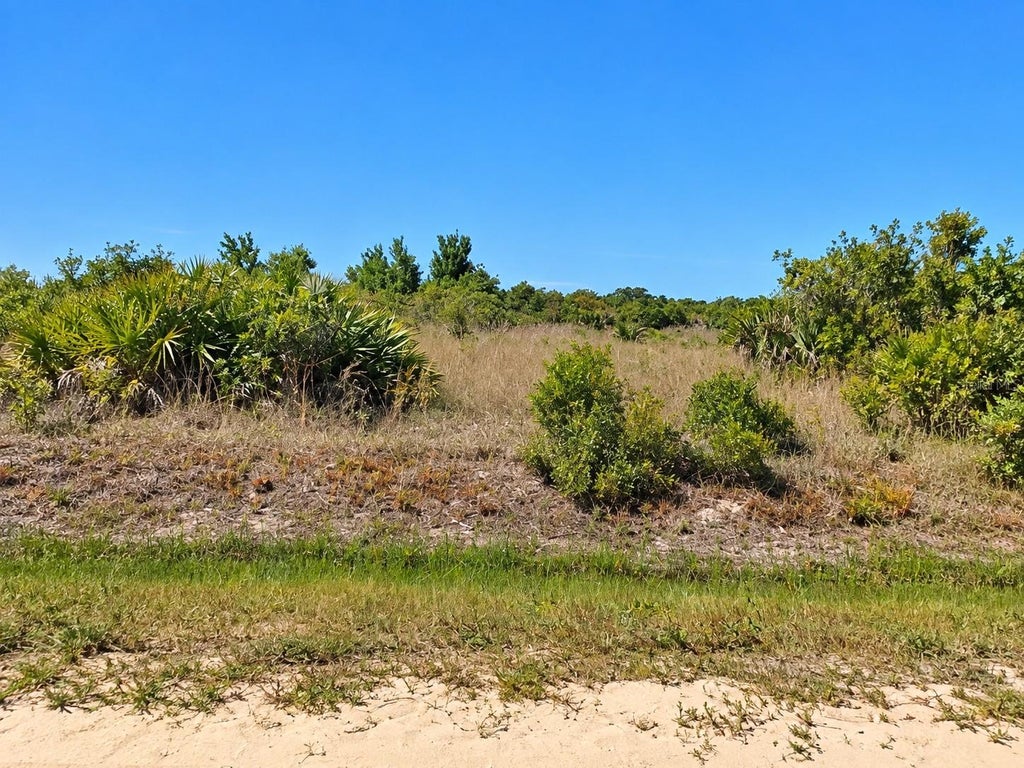 Photo of 14516 NW 280th Street, Okeechobee, FL 34972 (MLS # K4903783)