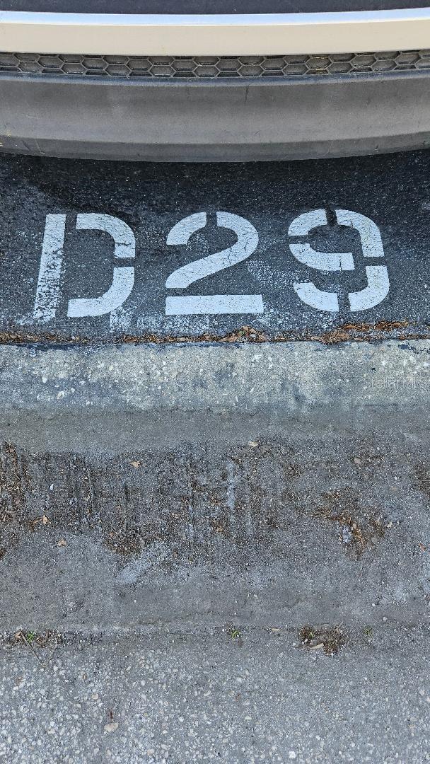 BAY PINES APTS CONDO - Residential