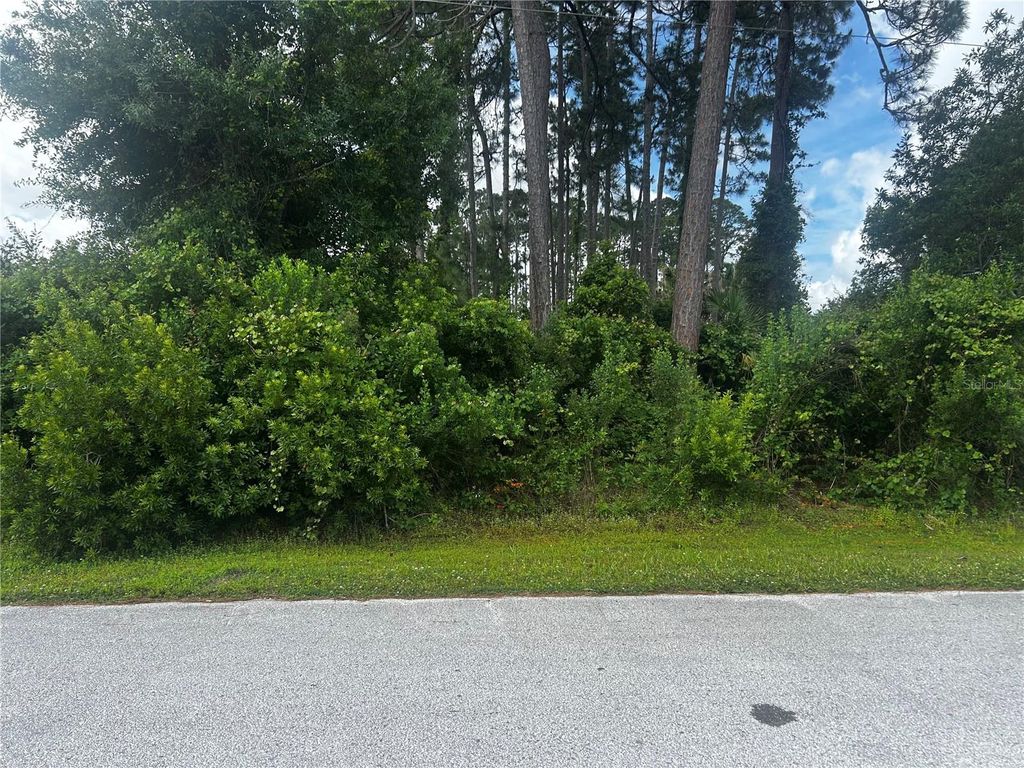 Photo of 24 Bannerwood Lane, Palm Coast, FL 32137 (MLS # FC318248)
