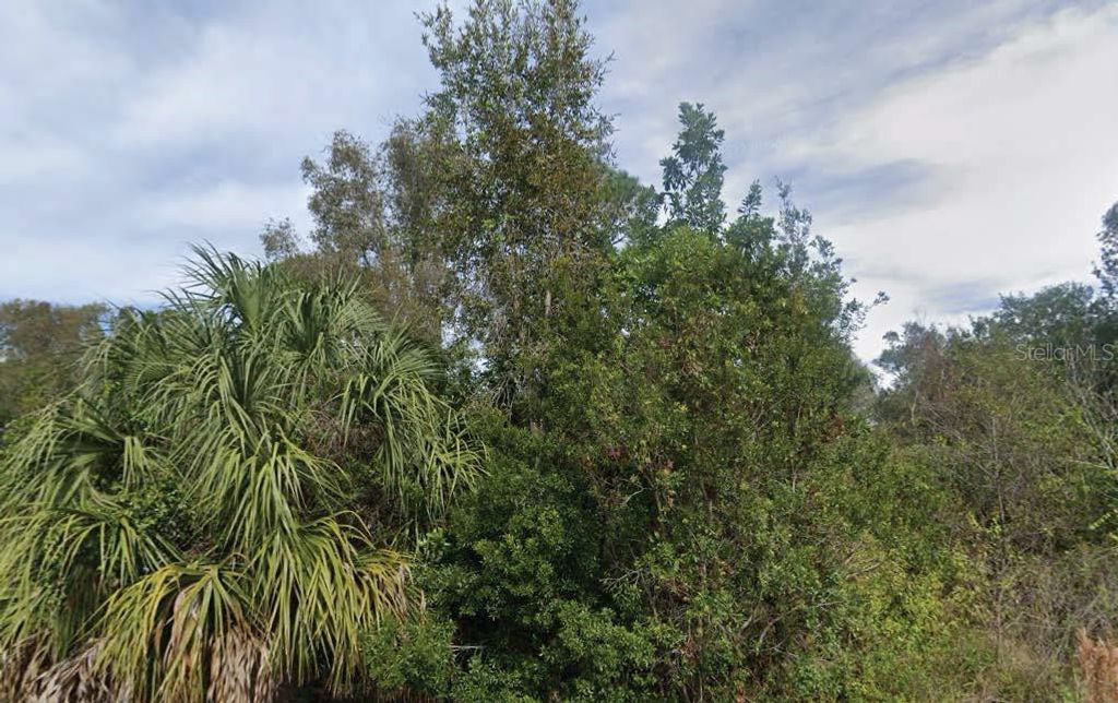 Photo of 201 N Yellowtail Lane, Punta Gorda, FL 33982 (MLS # O6277208)