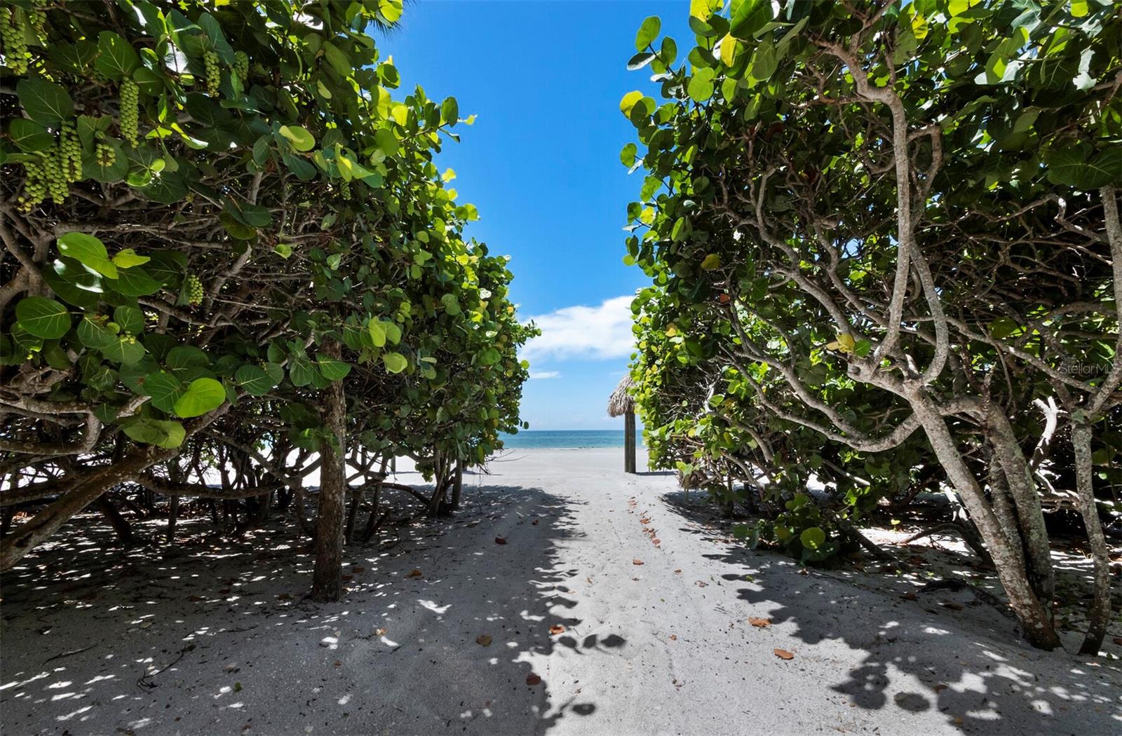 TENCON BEACH - Residential