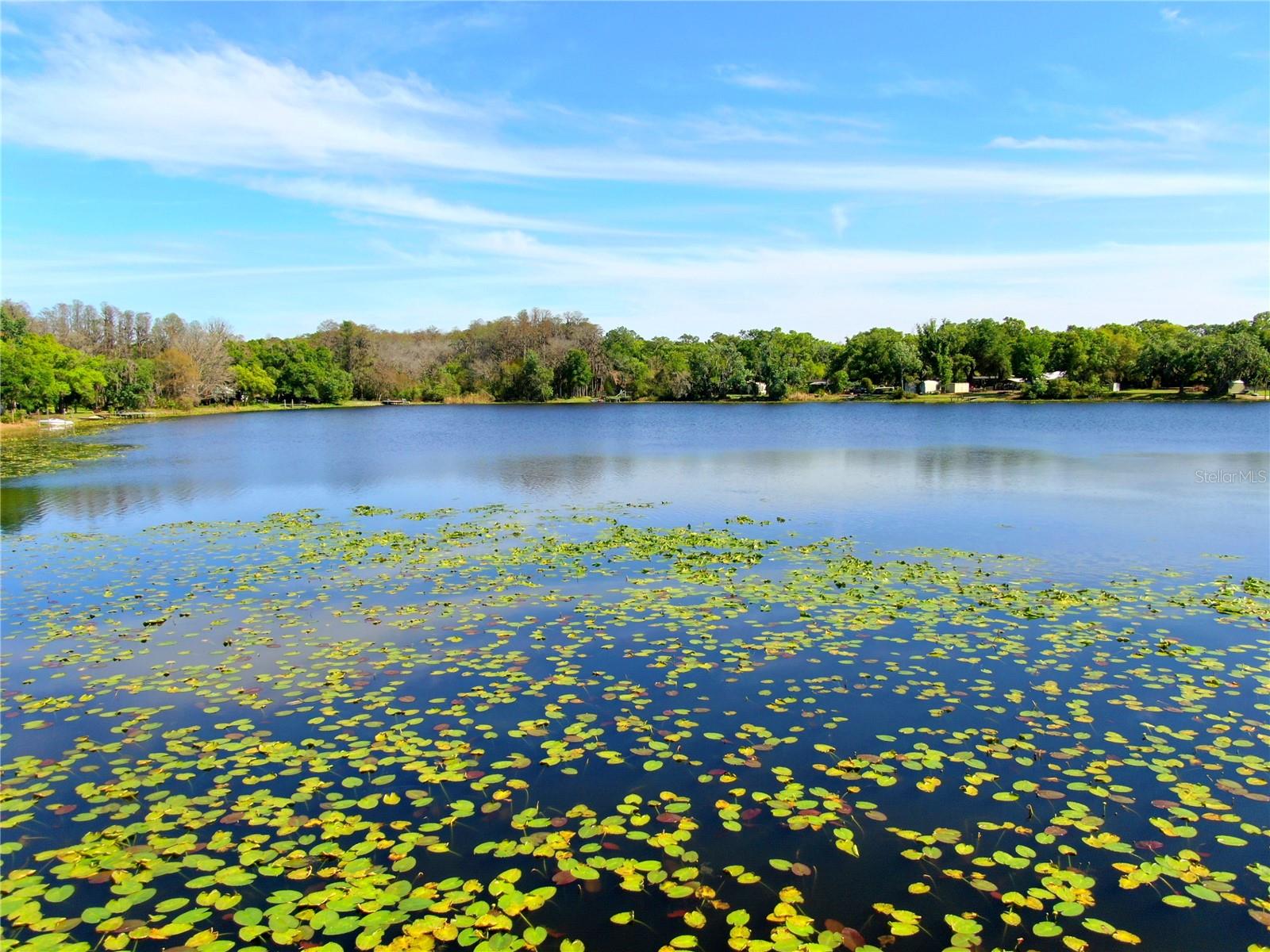 LAKE GENEVA HOMESITES - Residential