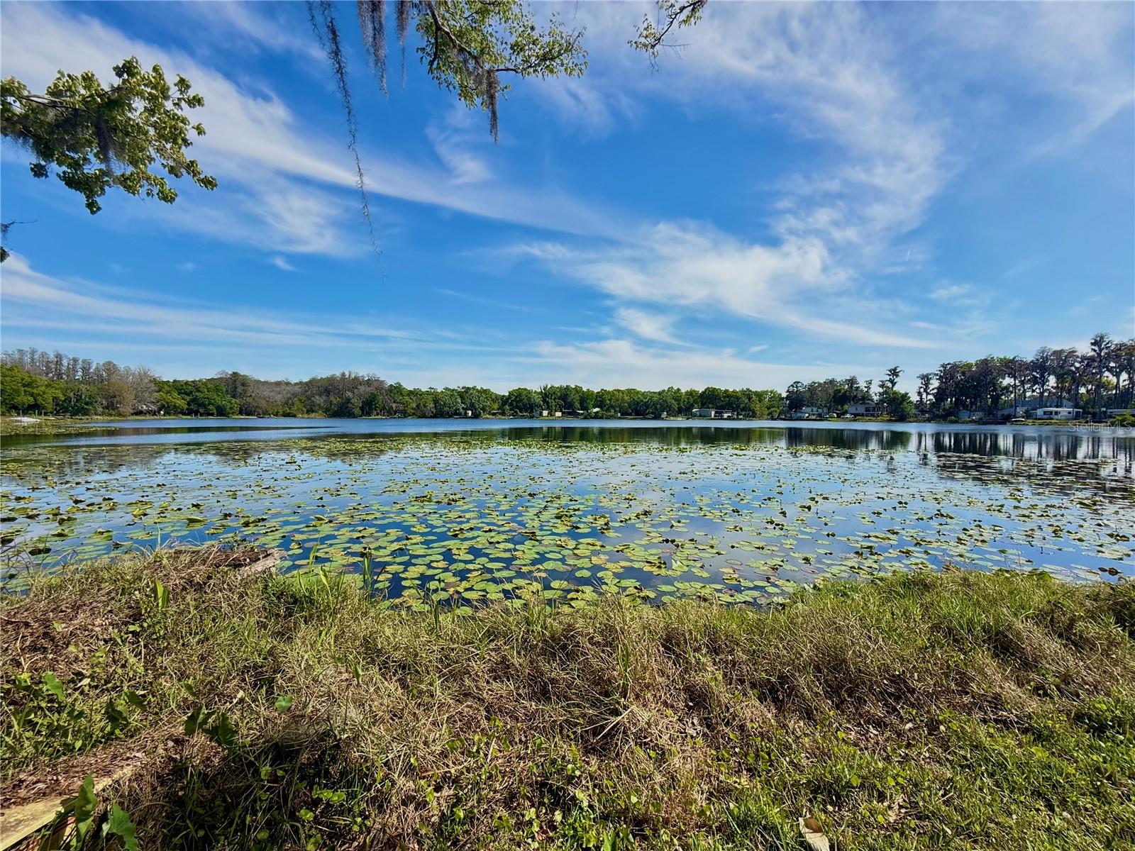 LAKE GENEVA HOMESITES - Residential