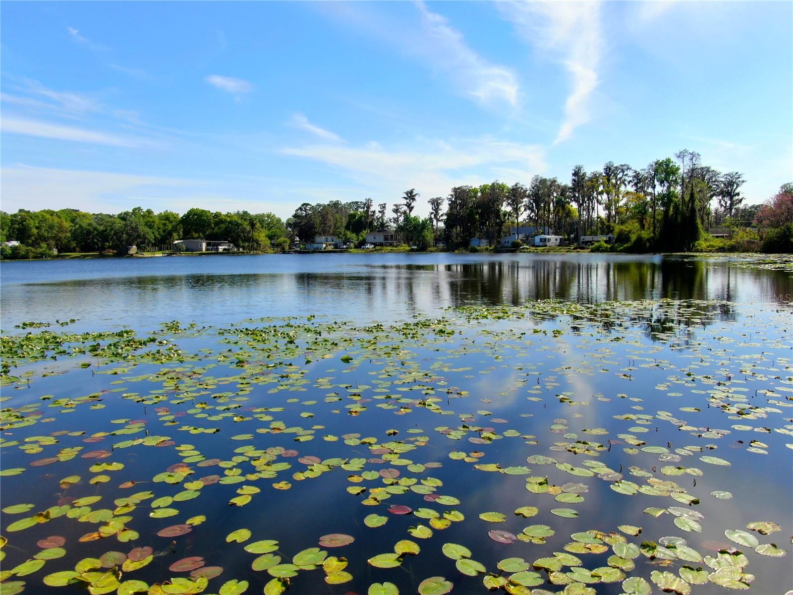 LAKE GENEVA HOMESITES - Residential