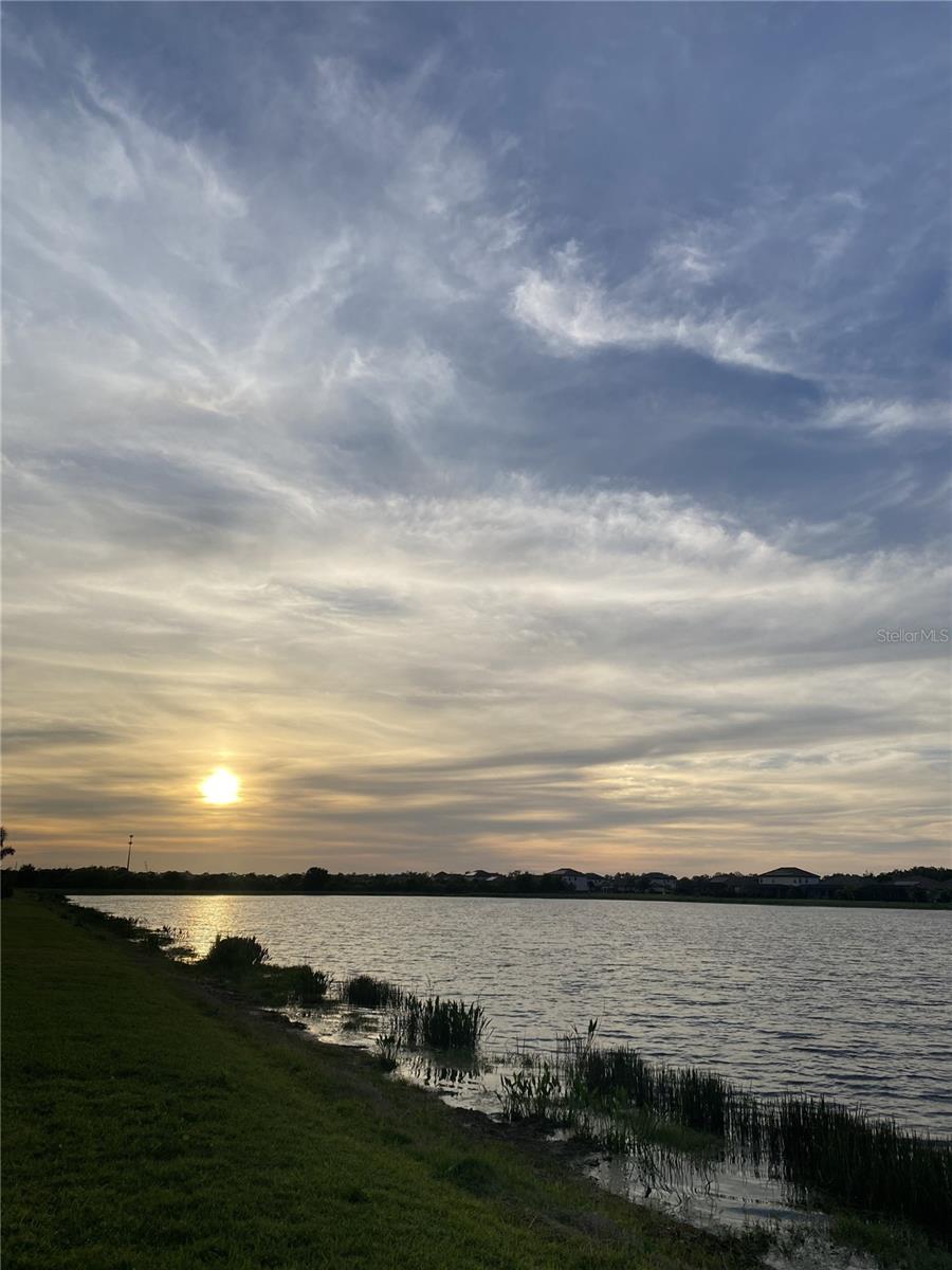 6542 CLAIRBORNE LANE