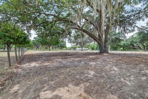 Tiny photo for 11241 Em En El Grove Road, Leesburg, FL 34788 (MLS # G5111421)