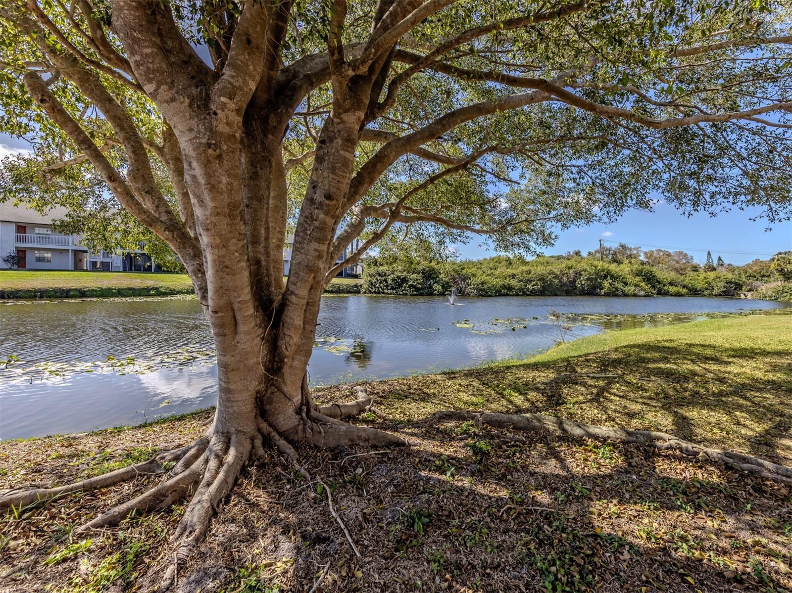 HIDDEN LAKE VILLAGE - Residential