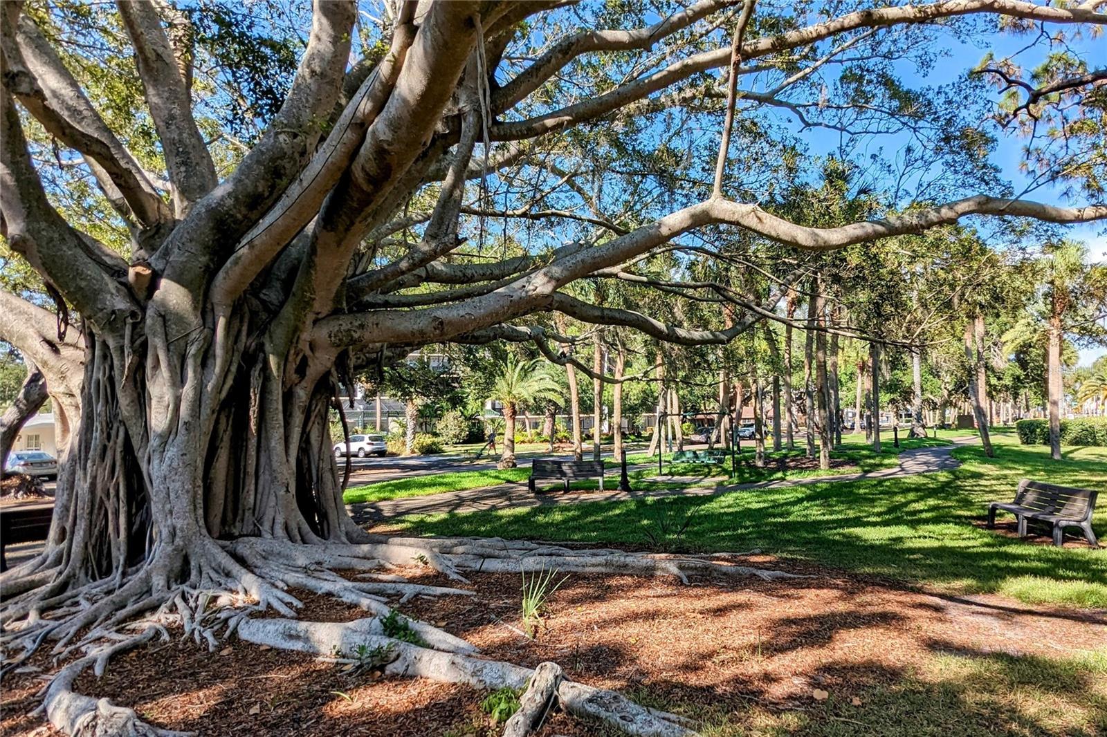 VISTA DEL LAGO - Residential