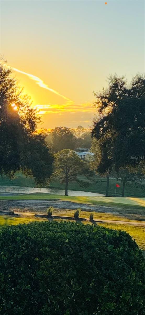 ZELLWOOD STATION COOP MH PARK - Residential