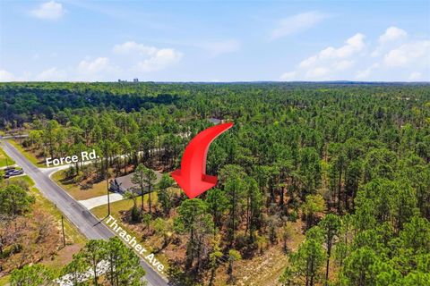 Lot 25 THRASHER AVENUE WEEKI WACHEE FL 34614