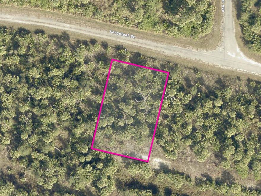 Discover the perfect opportunity to own a piece of fast-growing North Port, Florida with this 10,000 sq ft vacant lot on Largeleaf Street. Tucked away in a peaceful, natural setting, this oversized parcel gives you the freedom to design your dream home with plenty of room for outdoor living. Enjoy the feeling of privacy and open space, yet stay connected with quick access to shopping, dining, parks, and top-rated amenities—just minutes away. Located in a future development zone for a planned I-75 exchange, this lot is not only a great place to build but also a smart long-term investment. Whether you're ready to build now or looking to hold for future growth, this property is your chance to be part of one of Southwest Florida’s most exciting areas. The Atlanta Braves Spring Training stadium, North Port Aquatic Center, and stunning Gulf Coast beaches are all within easy reach.

Take the first step toward your vision—reach out today to walk the property or learn more!