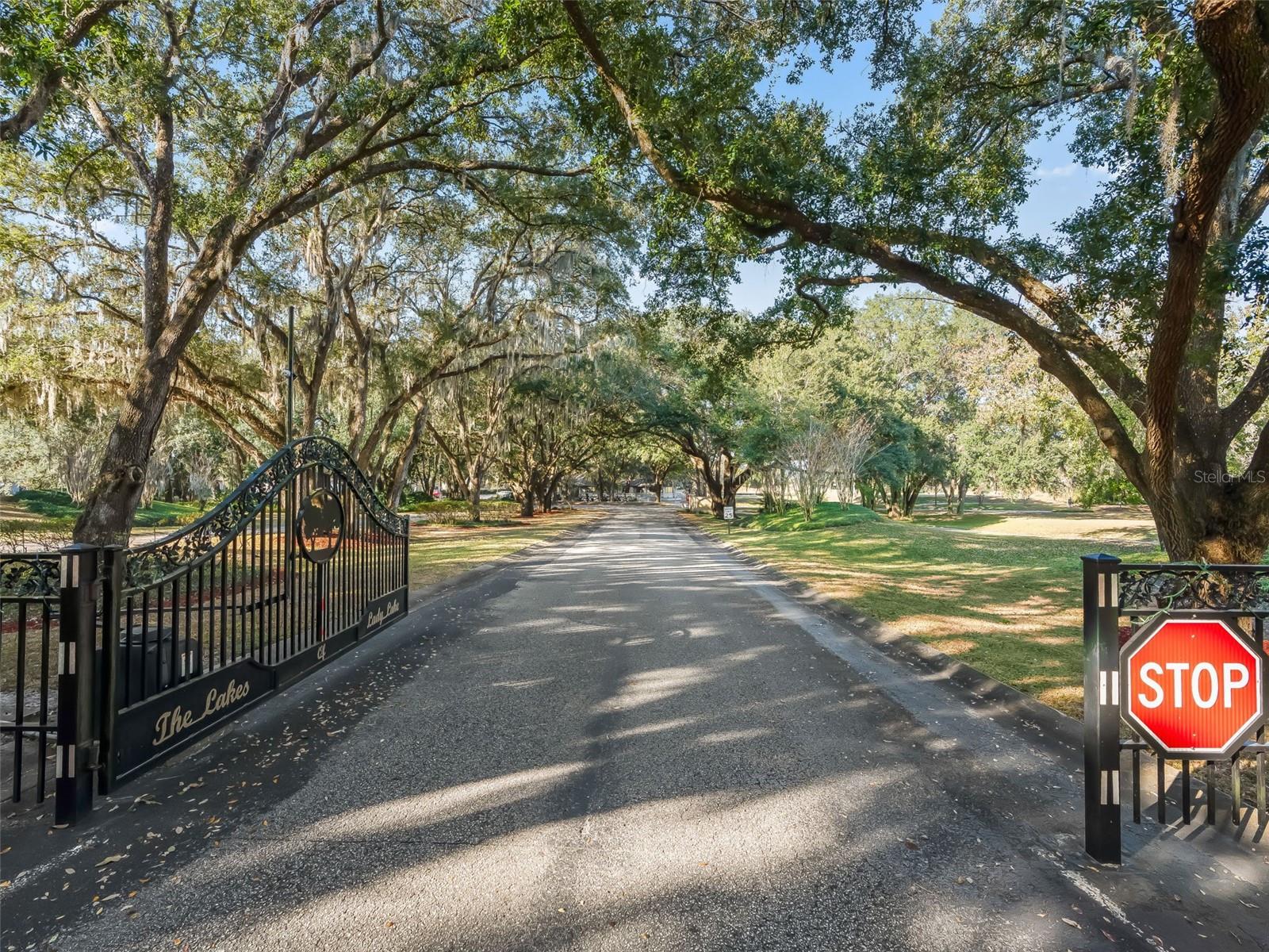 LAKES LADY LAKE - Residential