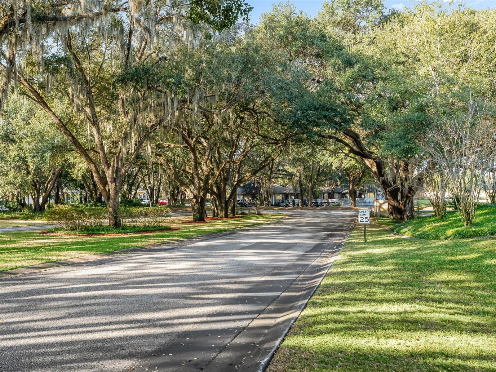 LAKES LADY LAKE - Residential
