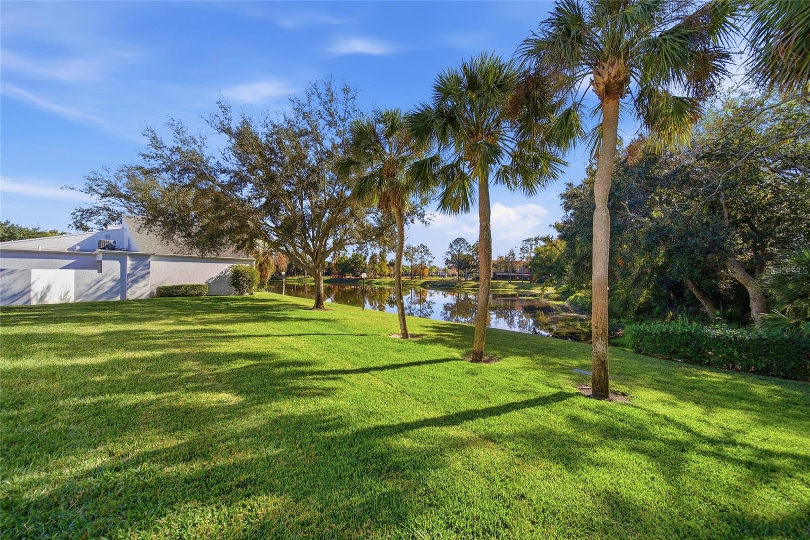 CARROLLWOOD VILLAGE NORTHMEADO - Residential