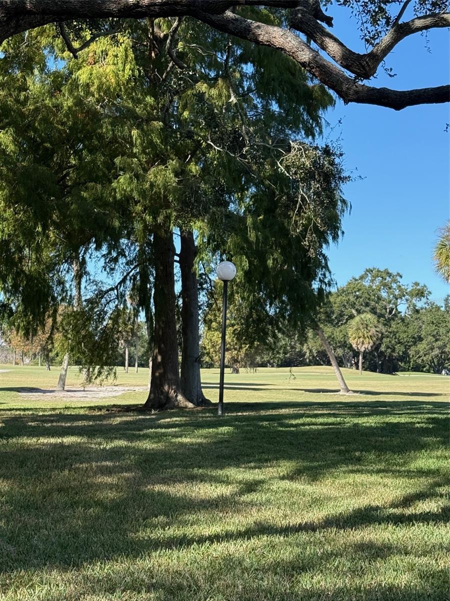 CARROLLWOOD VILLAGE NORTHMEADO - Residential