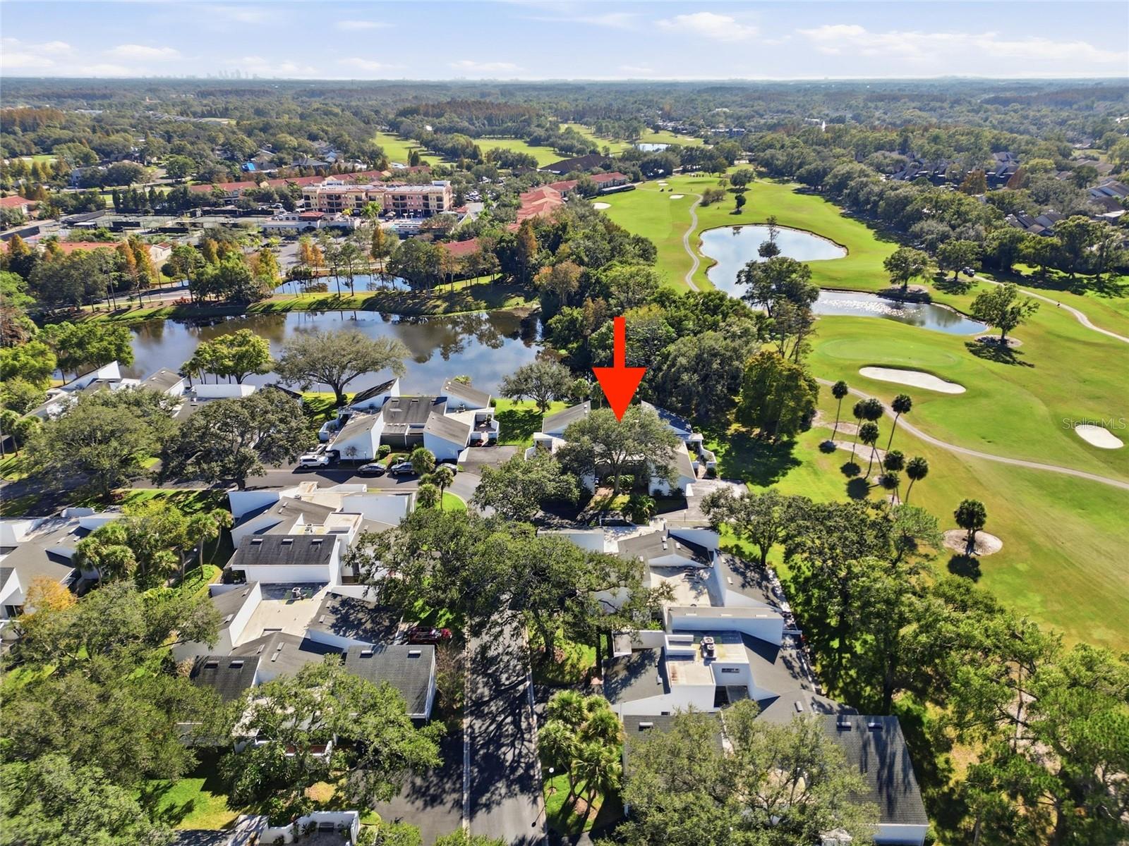 CARROLLWOOD VILLAGE NORTHMEADO - Residential