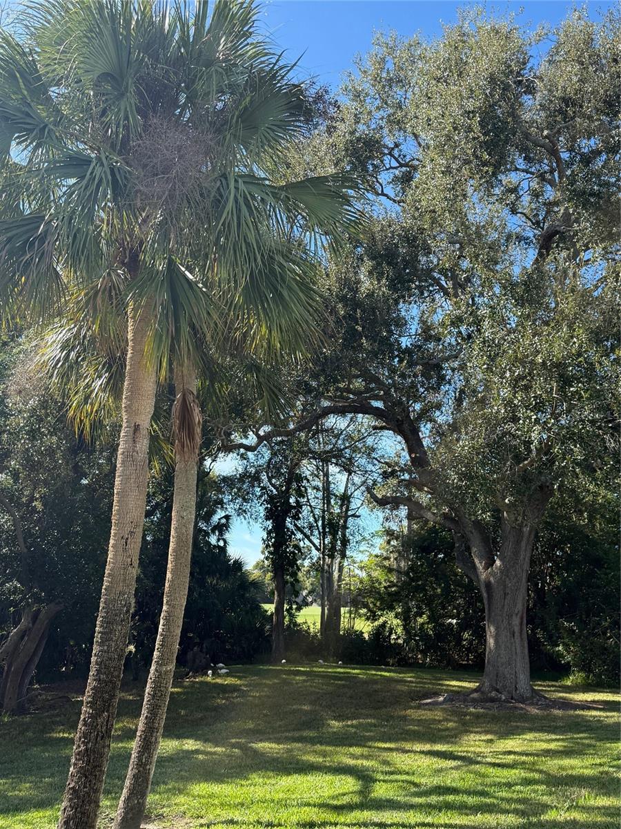 CARROLLWOOD VILLAGE NORTHMEADO - Residential