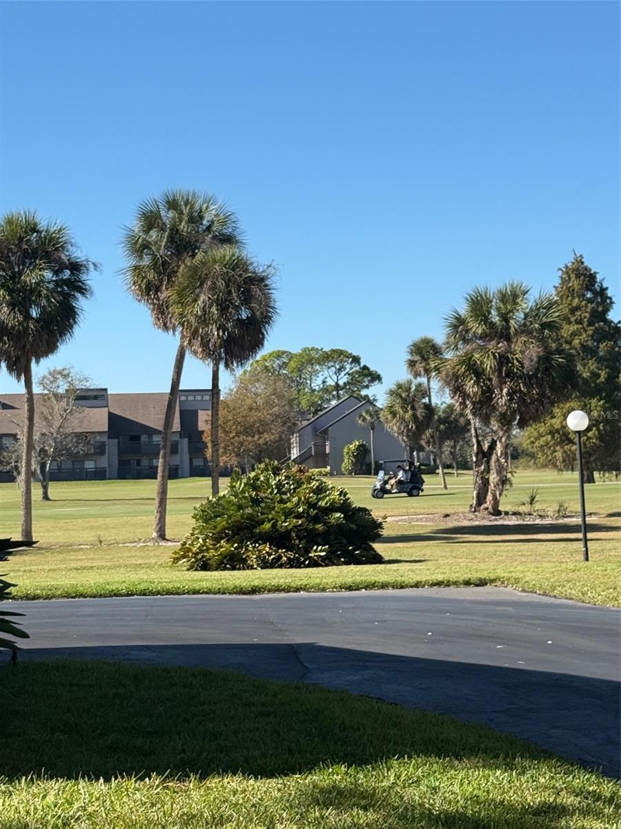 CARROLLWOOD VILLAGE NORTHMEADO - Residential