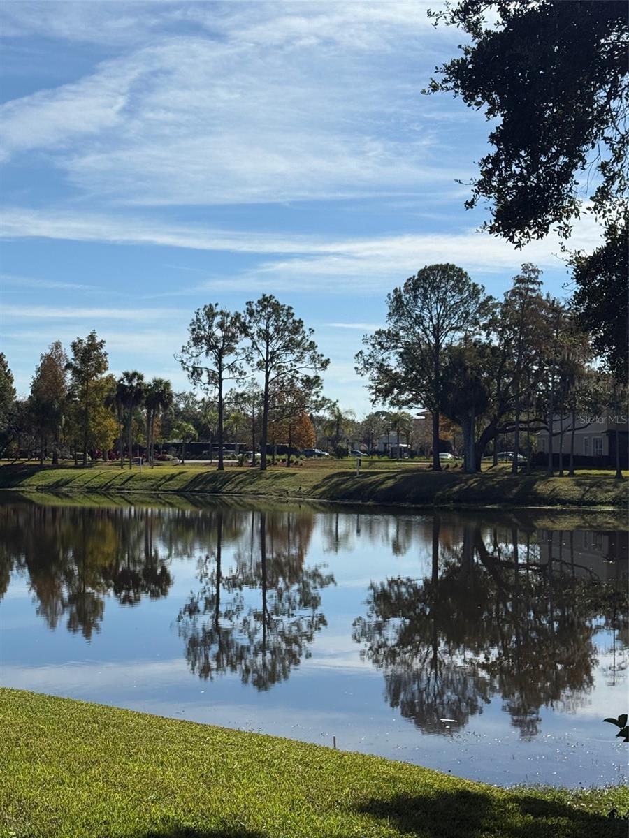 CARROLLWOOD VILLAGE NORTHMEADO - Residential