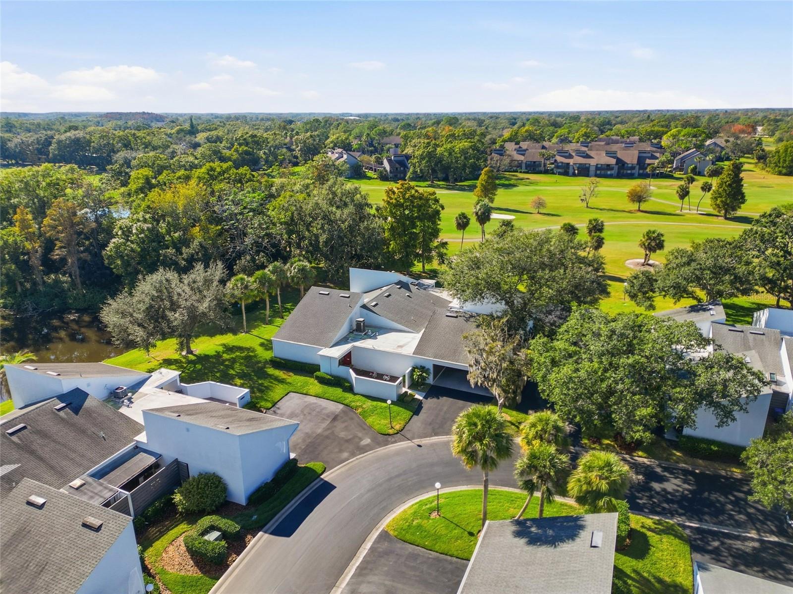 CARROLLWOOD VILLAGE NORTHMEADO - Residential