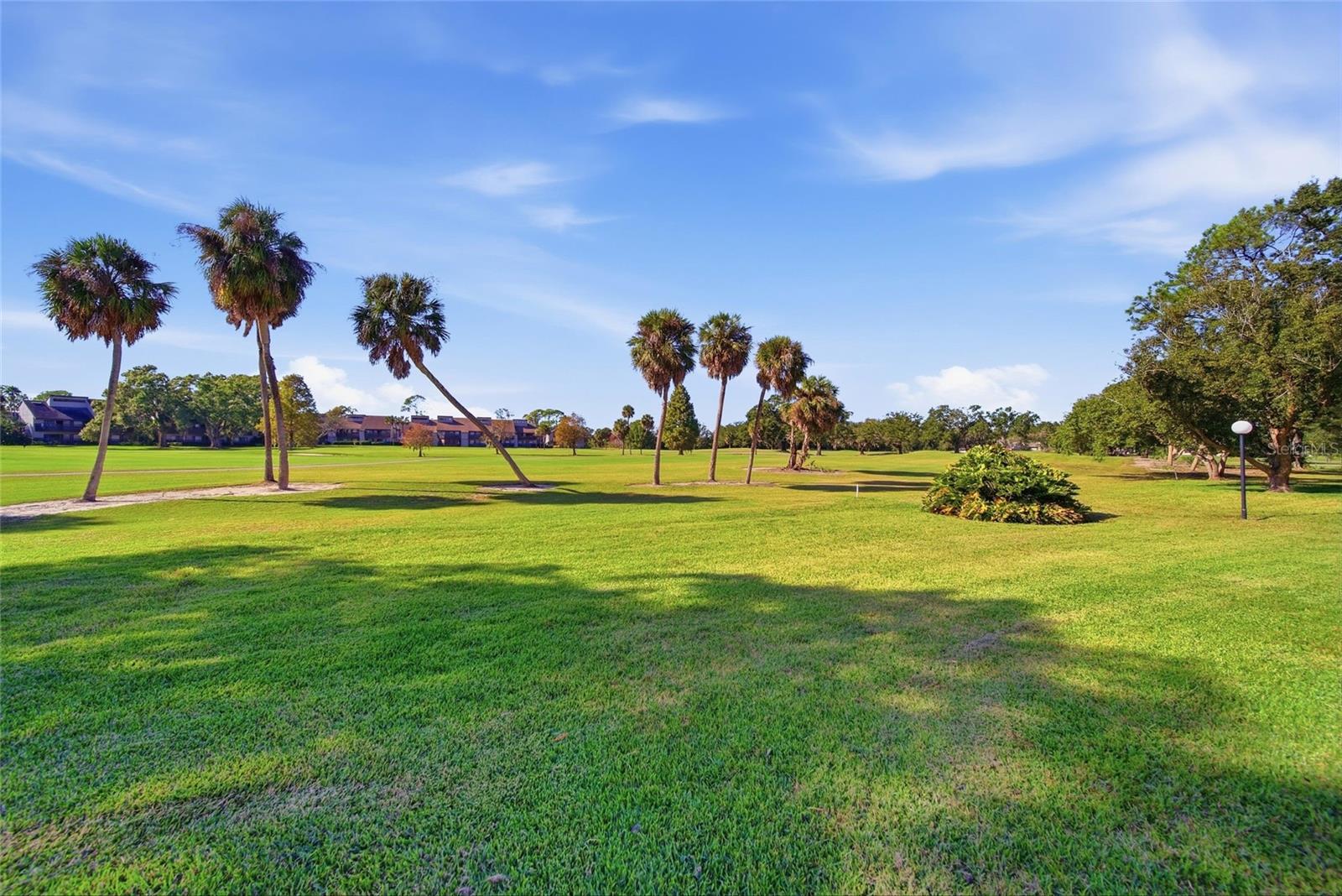 CARROLLWOOD VILLAGE NORTHMEADO - Residential