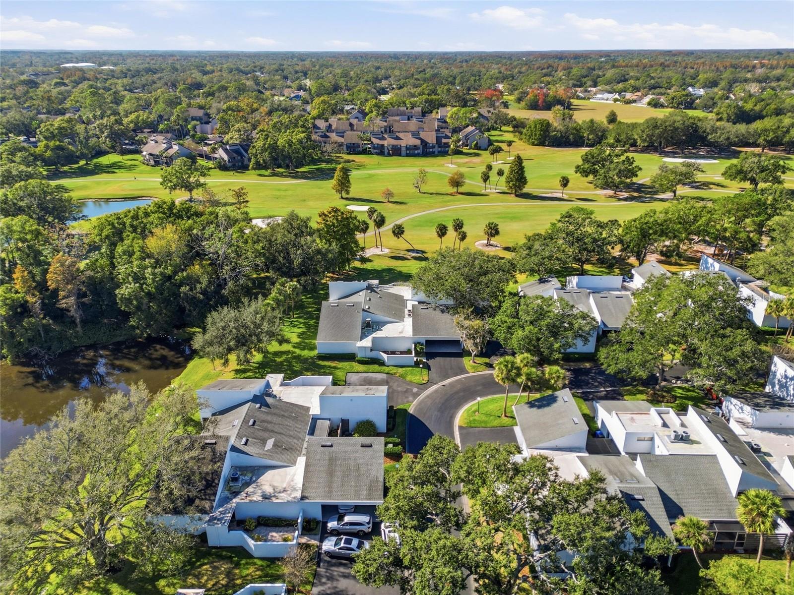CARROLLWOOD VILLAGE NORTHMEADO - Residential