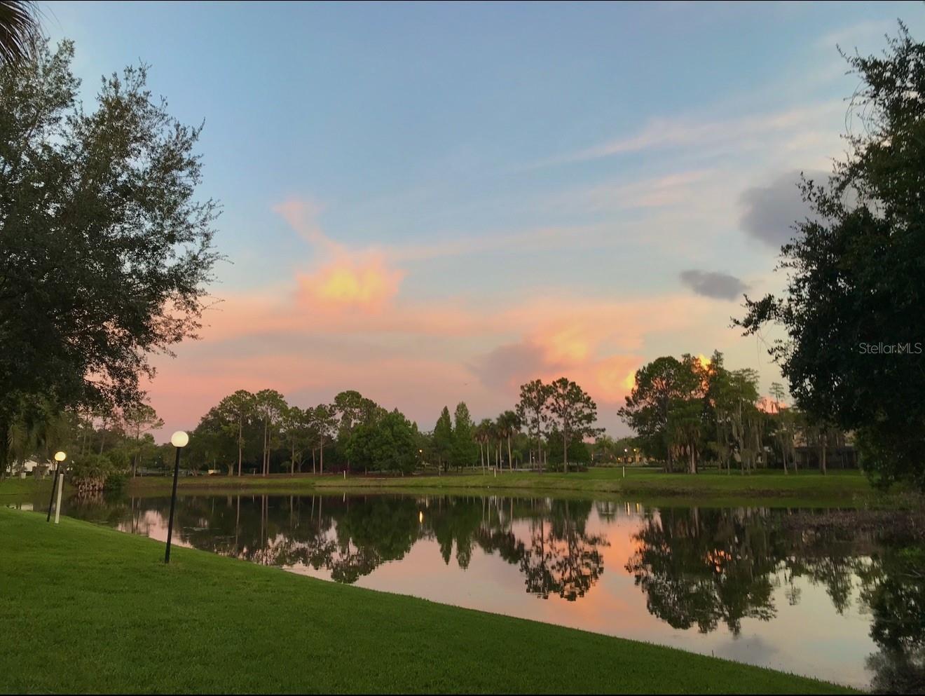 CARROLLWOOD VILLAGE NORTHMEADO - Residential