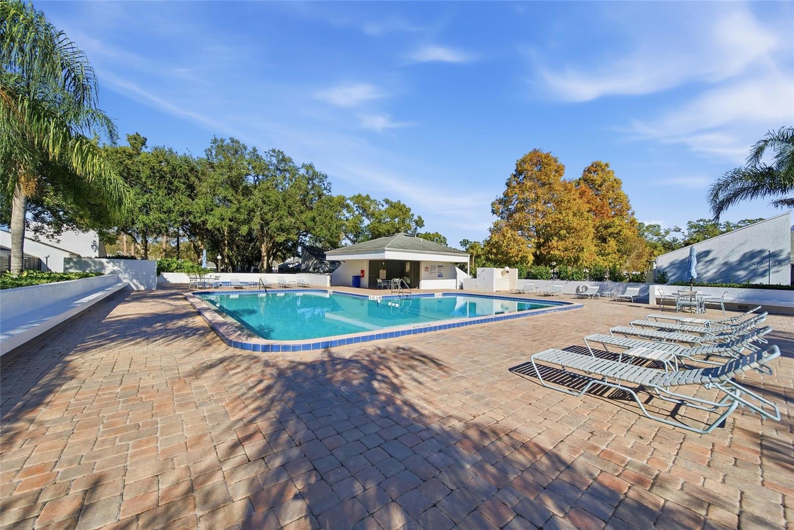 CARROLLWOOD VILLAGE NORTHMEADO - Residential