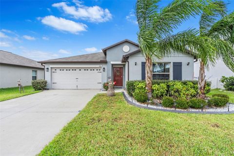 A home in RIVERVIEW