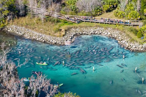 Tiny photo for 110 NE Crystal Street, Crystal River, FL 34428 (MLS # OM719620)