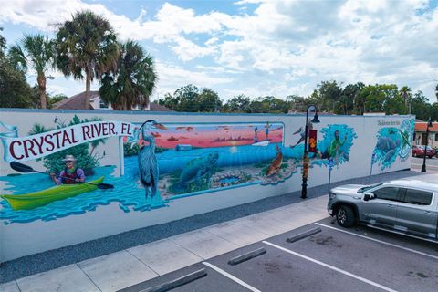 Tiny photo for 110 NE Crystal Street, Crystal River, FL 34428 (MLS # OM719620)