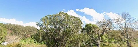 1362 AVALON ROAD WINTER GARDEN FL 34787