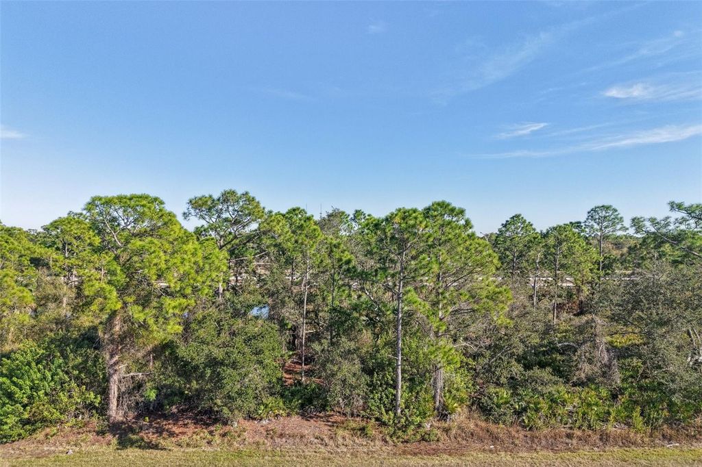Photo of 3124 Vessels Road, Punta Gorda, FL 33980 (MLS # A4680147)