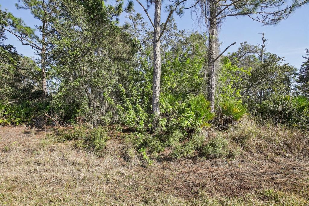 Photo of 3124 Vessels Road, Punta Gorda, FL 33980 (MLS # A4680147)