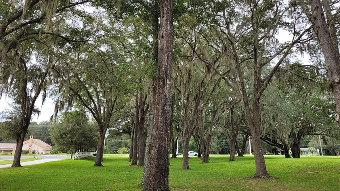 DEER PATH NORTH - Residential