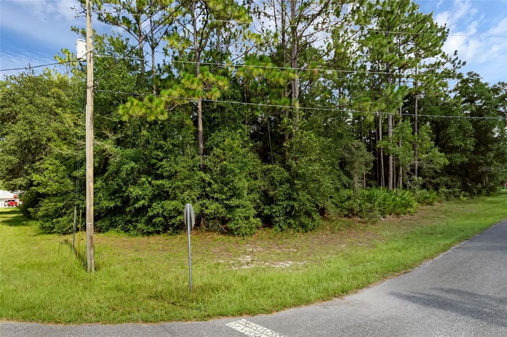 Photo of 6745 N Nantucket Way, Dunnellon, FL 34434 (MLS # S5131283)