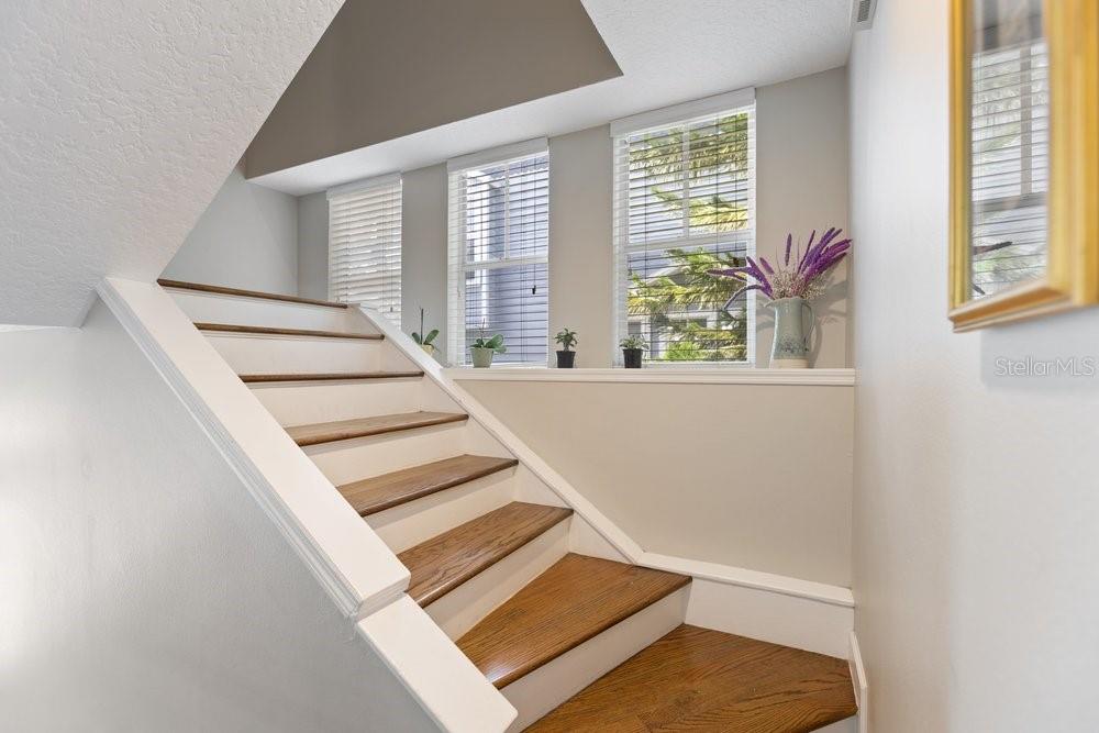 BAYSWATER CLOSE AT OLDE HYDE P - Residential