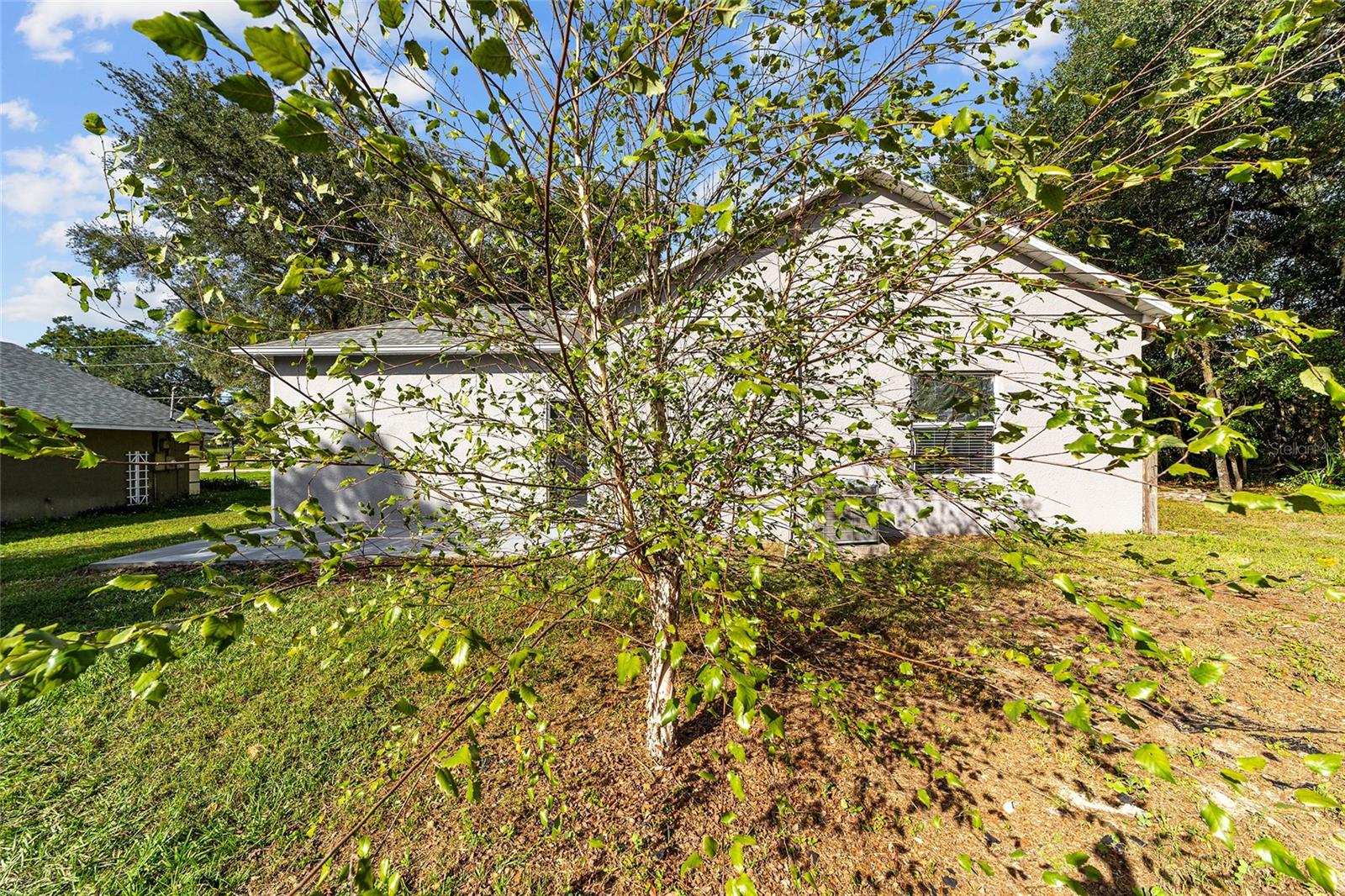 CARLTON VILLAGE PARK - Residential