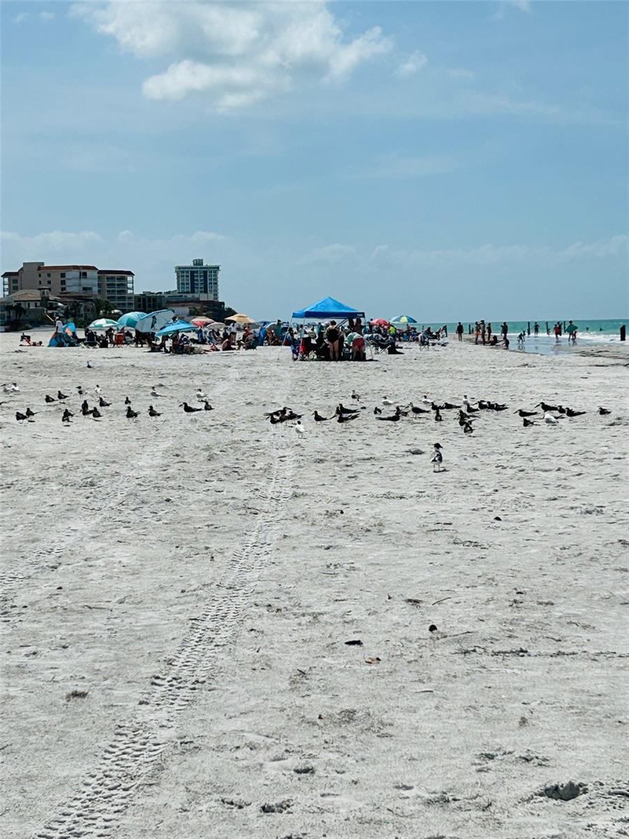 SUNSET VILLA CONDO - Residential