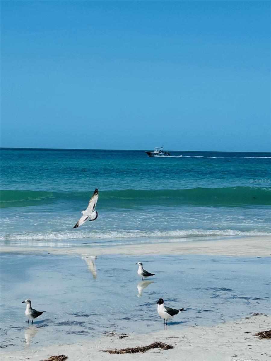 SUNSET VILLA CONDO - Residential