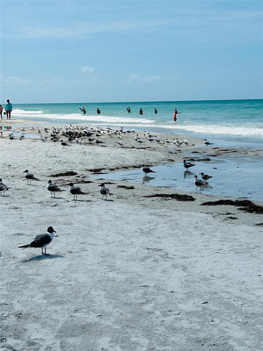 SUNSET VILLA CONDO - Residential