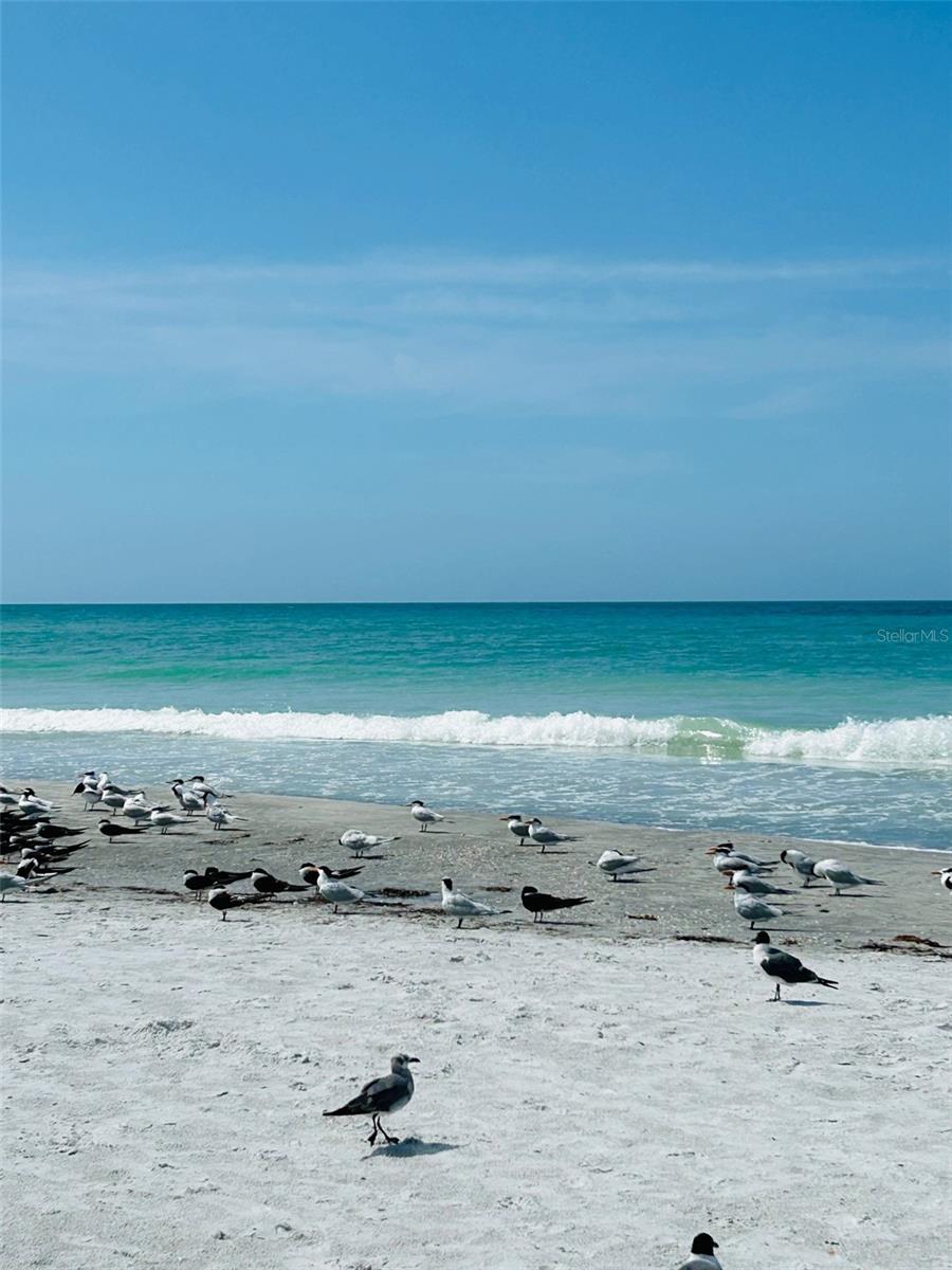 SUNSET VILLA CONDO - Residential