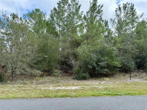 JERICHO TRAIL EUSTIS FL 32736