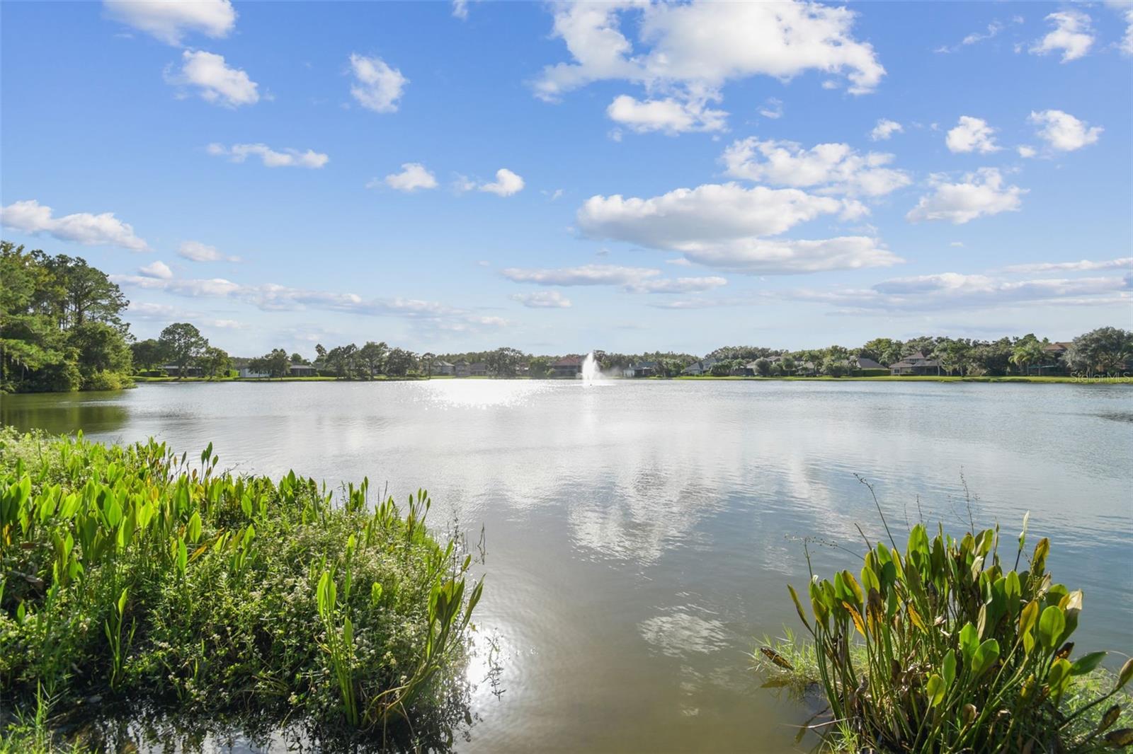GREY HAWK AT LAKE POLO - Residential