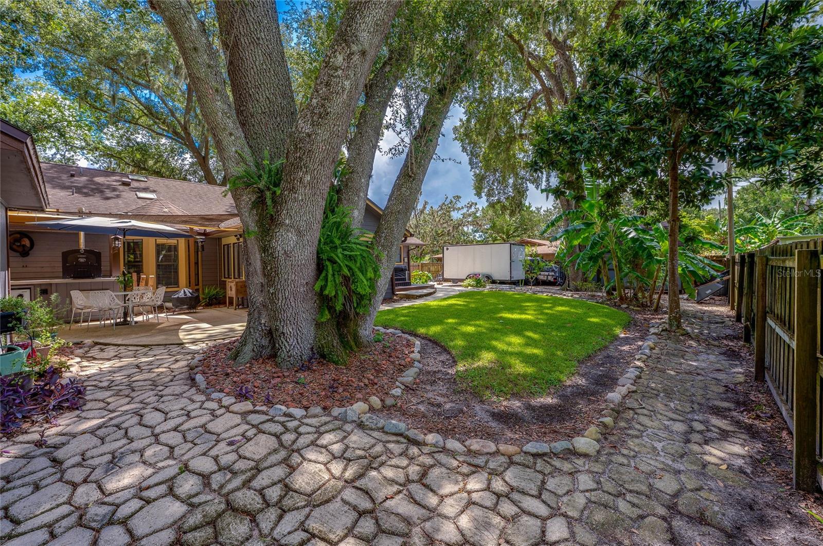 2824 UMBRELLA TREE DRIVE